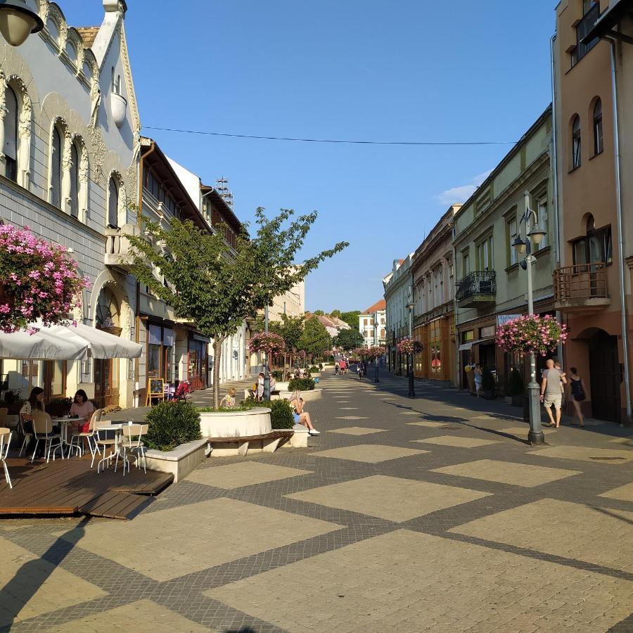 Krénusz Vendégház. Kaposvár Kültér fotó